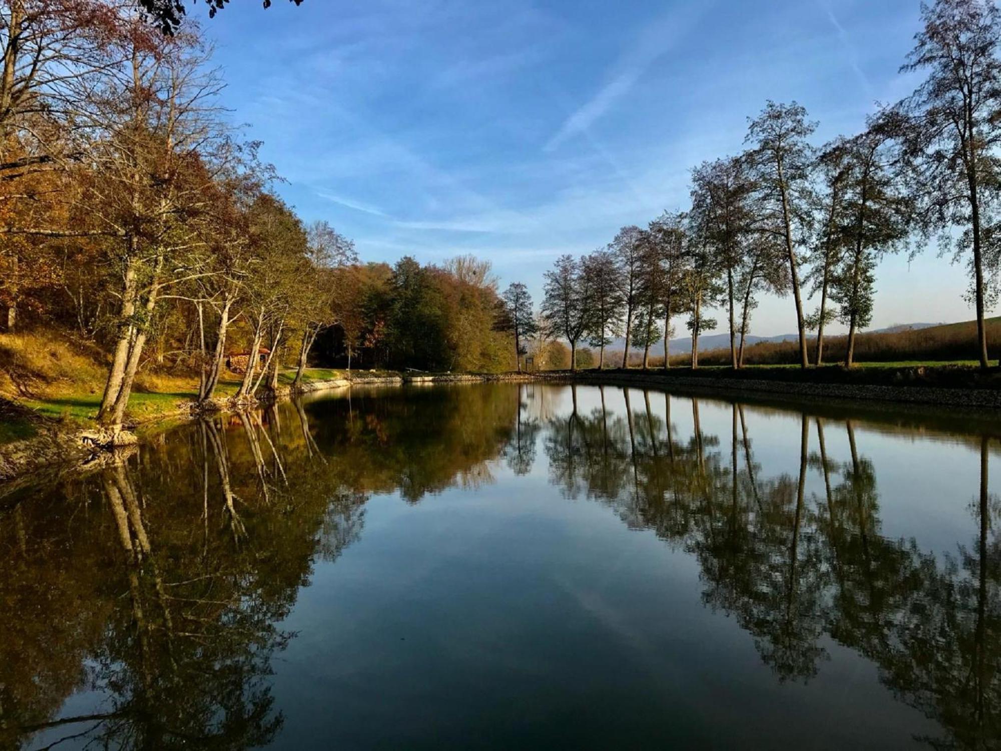 Ferienwohnungen Goja Bad Konigshofen im Grabfeld Exterior photo