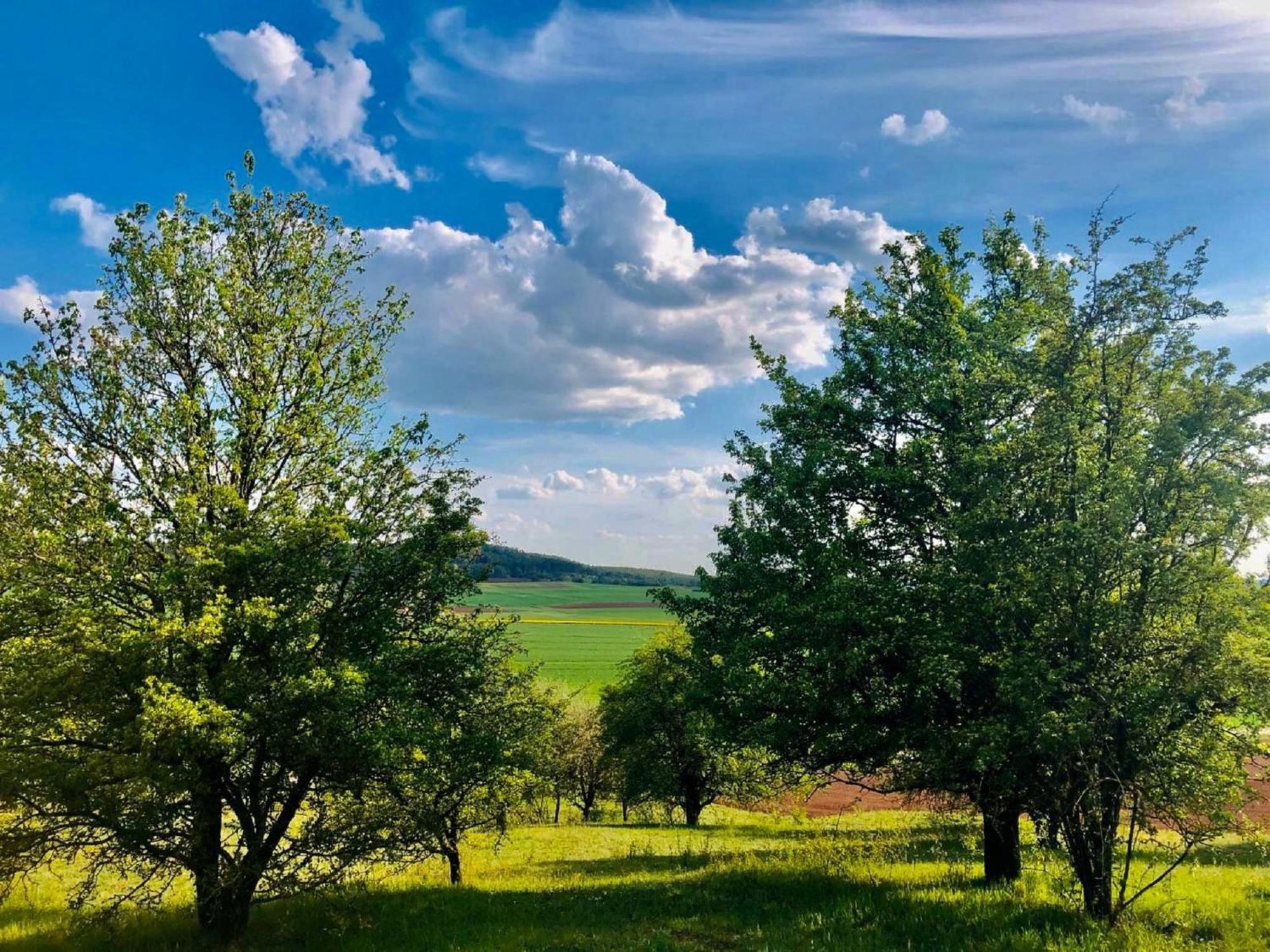 Ferienwohnungen Goja Bad Konigshofen im Grabfeld Exterior photo